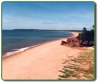 Enjoy our unspoiled private beach. The Cove Beach House PEI.